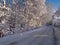 Winter road perfect background image