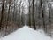 Winter road somewhere in Poland