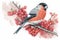 Winter robin on red berry twigs in winter, AI generative