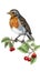 Winter robin on red berry twigs in winter, AI generative