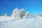 Winter rural landscape with road, forest and blue sky.