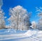 Winter rural landscape with the road the forest and the village