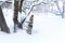 Winter rural landscape, rusty metal buckets in the yard covered with snow