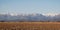 Winter Rural Panarama