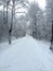 Winter Russian forest road