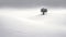 Winter\\\'s Embrace: A Minimalist Tree in a Serene Landscape