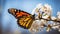 Winter\\\'s Monarch: Butterfly Gracefully Resting on a Snowy Perch