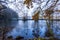 A Winter`s Morning Pool With Stark Trees In Cheshire Countryside