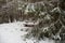 Winter\\\'s Respite: Bench Embraced by Snowy Firs in Pokainu Mezs, Latvija