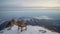 Winter\\\'s Solitude: A Lonely Wooden Chair on an Alpine Mountain Peak