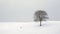 Winter\\\'s Solitude: A Minimalist Tree in a Serene Winter Landscape