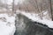 Winter`s Tale. The winter creek in snowy forest