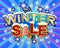 Winter Sale