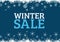 Winter Sale Snowflakes with blue background