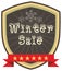 Winter sale stock display Creative business promotional v