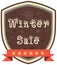 Winter sale stock display Creative business promotional v