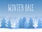 Winter sale words on the beautiful Chrismas flat Winter holidays landscape background with trees, snowflakes, falling