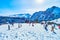 Winter in Salzkammergut, Zwieselalm mountain, Gosau, Austria