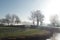 Winter scene with bare trees and fog in the Dutch province of Groningen