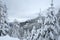 Winter scene on Black Mountain