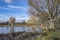 Winter scene at Bushy Park ponds