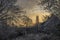 Winter scene on an early January morning with trees, bushes and grass covered in frost.