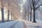 A winter scene featuring a park covered in snow, with trees and benches visible, Crisp winter morning in a park featuring a