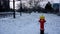 Winter Scene with Fire Hydrant in Snowy Park Setting