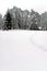 Winter scene of forest trees and snow