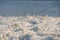 Winter scene. A frozen flower and grass sticking out of the fluffy snow. Frozen dead grass in a meadow in a field in winter warmed