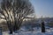 Winter scene with picturesque tree on the background of snowy landscape