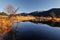 Winter scene of pitt lake