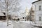 Winter Scene of Pokrovsky Convent framed by Birch Tree - Suzdal