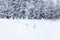 Winter scene in a rest zone near a forest. Benches and snowmen, forest road