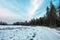 Winter scene: road and forest with hoar-frost on trees