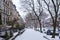 Winter scene with snow covered cars parked along streets in Brooklyn, NY. Brownstones in winter season