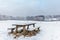 Winter scene with snow on the Dutch Posbank