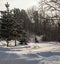 Winter scene with snow on street ans trees and a man using a snowblower