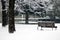 Winter scene - snowfall in the park