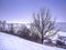Winter scene with a tree and hills covered with snow in heavy snowfall - snowfall captured in motion
