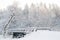 Winter scenery. Fairytale forest, bridge, snowy trees