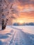 winter scenery presents a picturesque landscape that features a snowy path winding through a tranquil environment