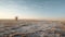 Winter Scenery: A Serene Lone Tree On An Empty Field