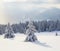 Winter scenery in the sunny day. Mountain landscapes. Trees covered with white snow, lawn and mistery sky.