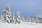 Winter scenery in the sunny day. Mountain landscapes. Trees covered with white snow, lawn and mistery sky.