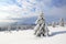 Winter scenery in the sunny day. Mountain landscapes. Trees covered with white snow, lawn and mistery sky. Carpathian.