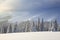 Winter scenery in the sunny day. Mountain landscapes. Trees covered with white snow, lawn and mistery sky. Tourist place.