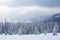 Winter scenery in the sunny day. Mountain landscapes. Trees covered with white snow, lawn and mistery sky. Tourist place.