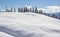 Winter Scenery With Trees Snow And Blue Sky