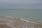 Winter sea coast and seagulls swaying on the sea waves